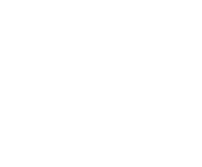 Evolution games at Red Bus Bingo Casino
